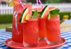 Recette Mojito à la Pastèque