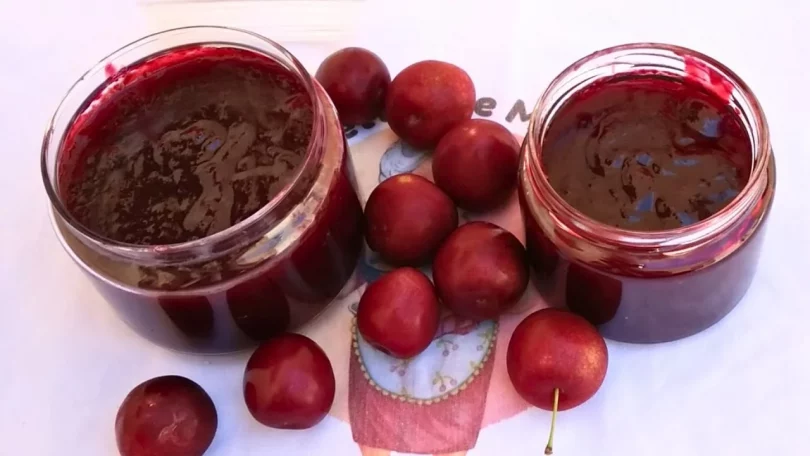 Confiture de Prunes Rouges Maison Recette en 45 Minutes